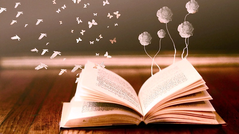 Leitura e Escrita do Ensino Superior