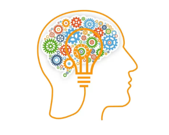 TEORIA E PRÁTICA DA NEUROPSICOPEDAGOGIA