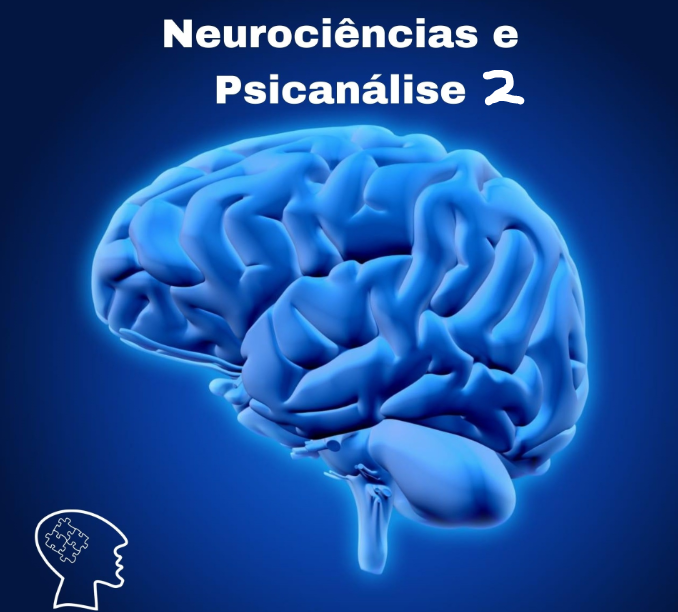 Neurociência e Psicanálise II